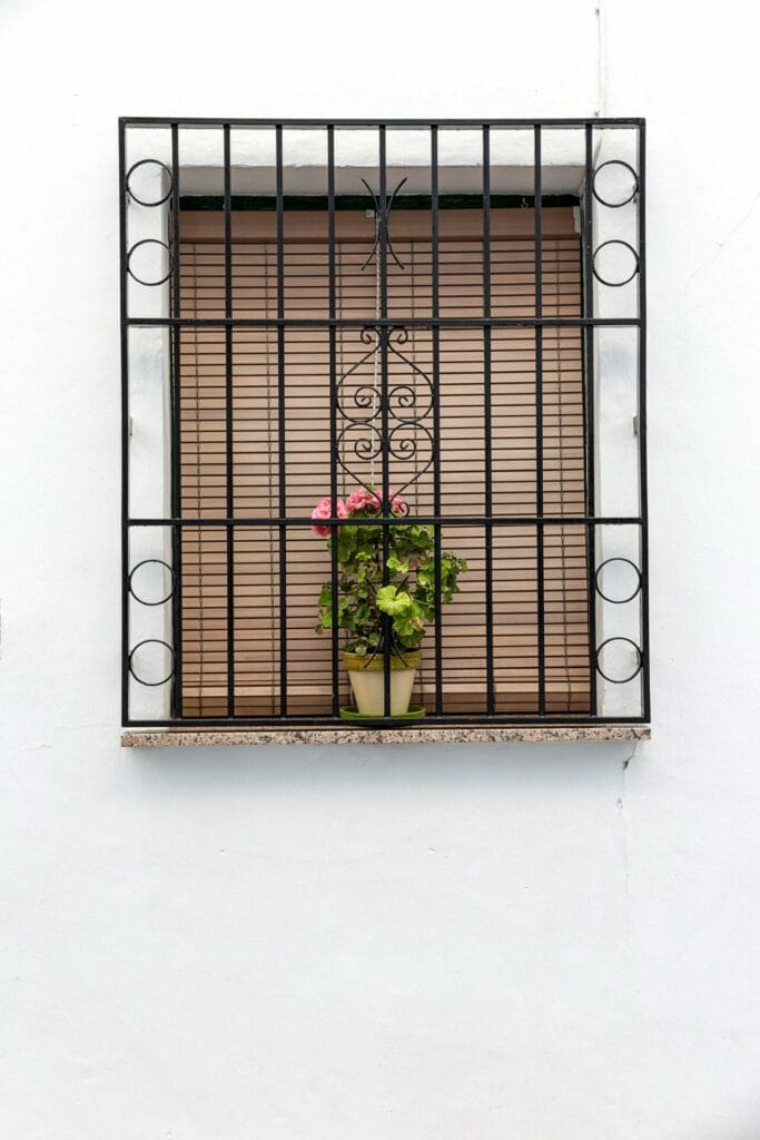 A potted plant sits on a windowsill behind security grilles and closed blinds, set against a white wall.
